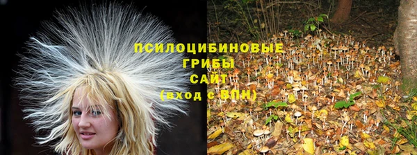 эйфоретик Богородицк