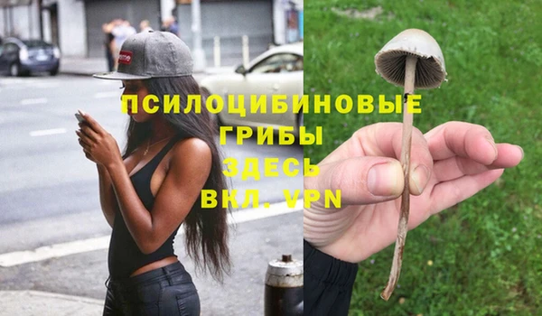 MDMA Premium VHQ Богданович