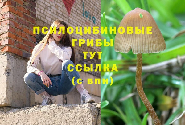 MDMA Premium VHQ Богданович