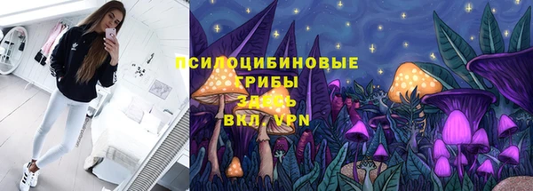 эйфоретик Богородицк